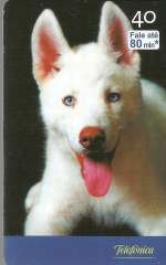 9330 SP 10/03 Filhotes 06/10  200.000x ICE 40